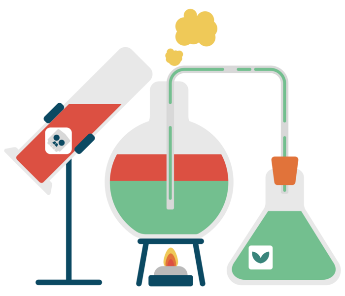 Hypotheses and Validation